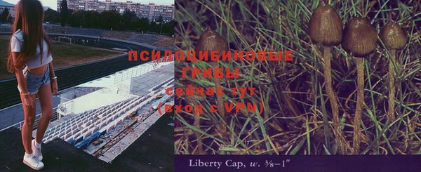 сатива Алзамай