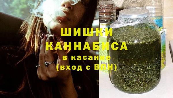 дживик Осинники