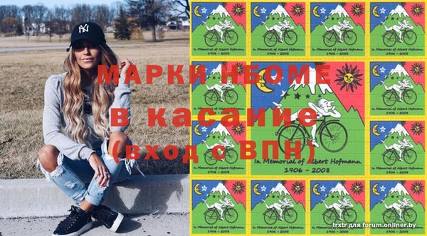 сатива Алзамай
