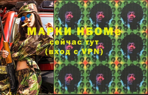 сатива Алзамай