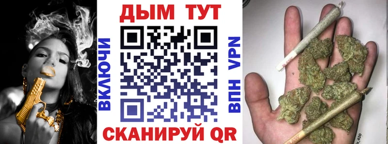 Канабис сатива  Ардатов 